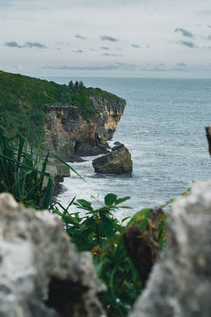 Pemandangan Ocean Cliff Portait Wallpaper