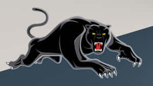 Penrith Panthers Wallpaper