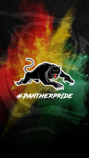 Penrith Panthers Wallpaper