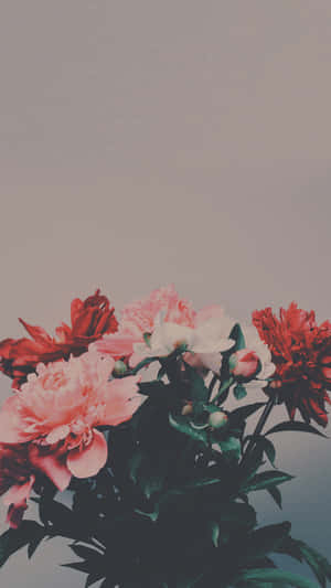 Peony Bouquet Pastel Backdrop Wallpaper