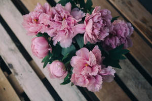 Peony Flowers On Wooden Panels Wallpaper