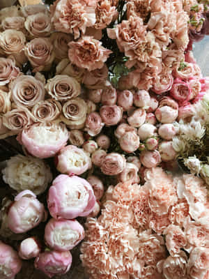 Peonyand Rose Aesthetic Floral Array.jpg Wallpaper