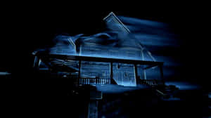 Perception Wall Art Wallpaper