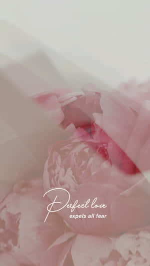 Perfect Love Expels Fear Pink Floral Background Wallpaper