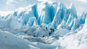 Perito Moreno Glacier Slope Wallpaper