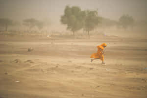 Person_ Braving_ Dust_ Storm Wallpaper