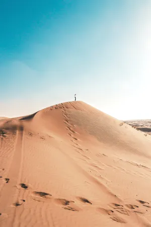 Person Stranded In The Desert Wallpaper