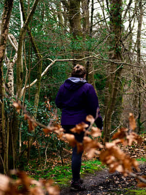 Personin Purple Hoodie Walkingin Forest Wallpaper