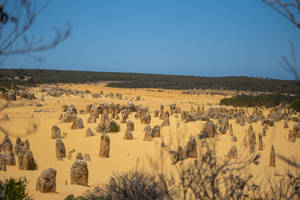 Perth Yanchep National Park Wallpaper