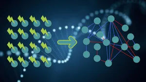 Perturbed Genes Infographic Wallpaper