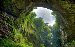 Peru Green Cave Wallpaper