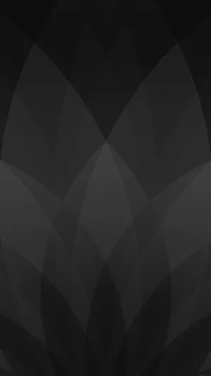 Petals Design Black And Grey Iphone Wallpaper