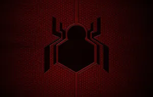 Peter Parker Balances His Teenage Life With His Role As Spider Man In Spider Man Homecoming Wallpaper