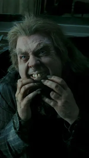 Peter Pettigrew Betrayal Scene Wallpaper