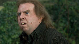 Peter Pettigrew Character Analysis Wallpaper