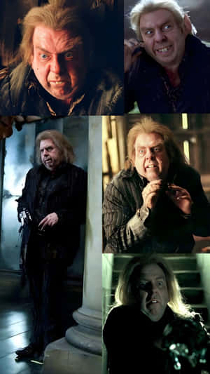 Peter Pettigrew Character Moments Wallpaper
