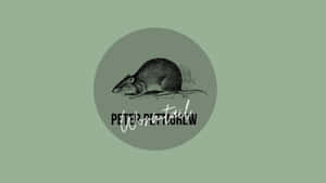 Peter Pettigrew Character Overview Wallpaper
