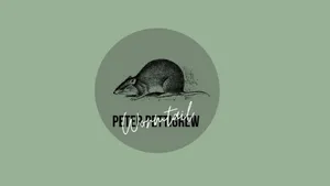 Peter Pettigrew Character Overview Wallpaper
