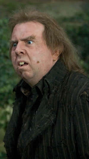 Peter Pettigrew Character Portrait Wallpaper