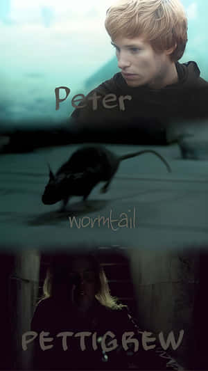 Peter Pettigrew Character Profile Wallpaper