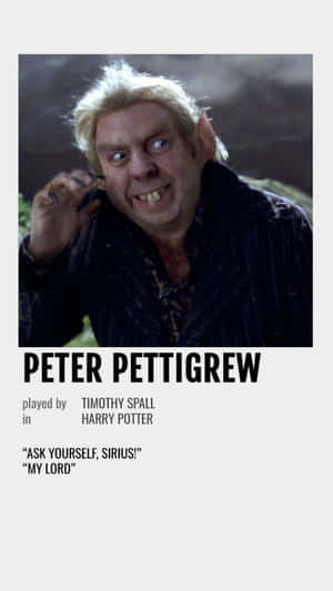 Peter Pettigrew Character Profile Wallpaper