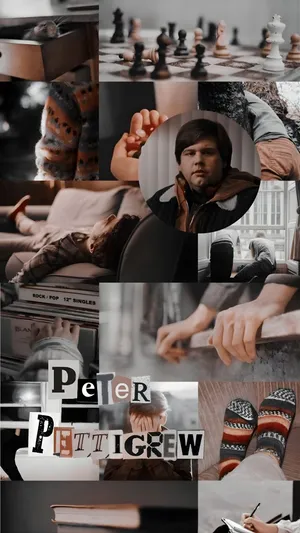 Peter Pettigrew Character Profile Wallpaper