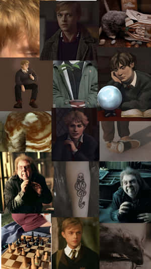 Peter Pettigrew Character Traits Wallpaper