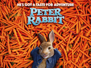 Peter Rabbit Adventure Carrots Wallpaper