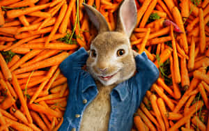 Peter Rabbit Carrot Adventure Wallpaper