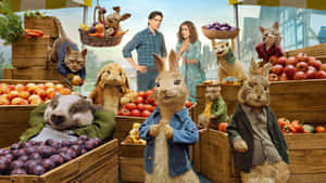 Peter Rabbit Movie Castat Market Wallpaper