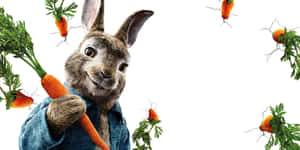 Peter Rabbit With Carrots Wallpaper