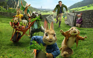 Peter Rabbitand Friends Adventure Wallpaper