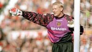 Peter Schmeichel Goalkeeping Football Wallpaper