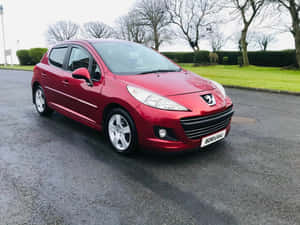 Peugeot 207 Gleaming In Sunlight Wallpaper