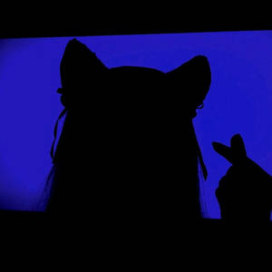 Pfp Aesthetic Featuring Girl With Cat Ears Wallpaper