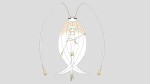 Pheromosa Pokemon On Gray Background Wallpaper