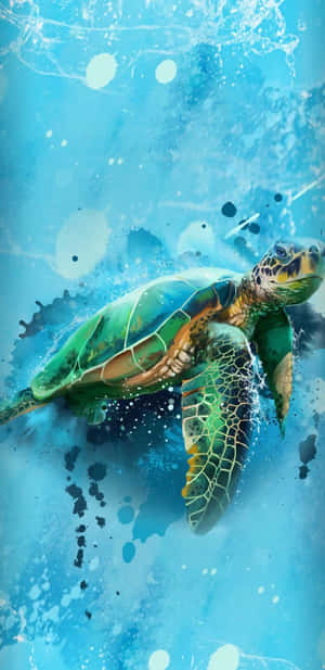 Phone Upgrade: Turtle Iphone Hd Wallpaper