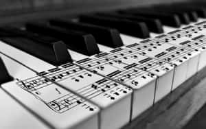 Piano Keyboard In Black And White Wallpaper