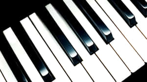 Piano Keys Contrast Aesthetic.jpg Wallpaper