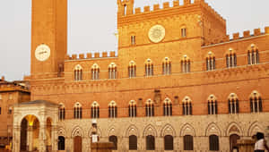 Piazza Del Campo Wallpaper