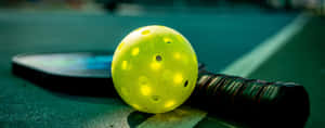 Pickleball Paddleand Ballon Court Wallpaper