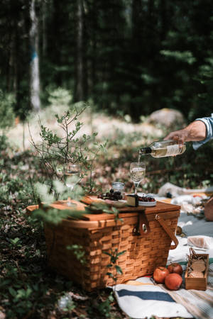 Picnic In The Garden Wallpaper