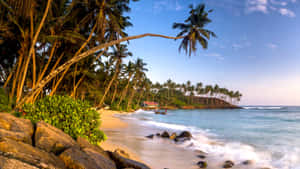 Picture Blue Waters Meet White Sands Along The Ocean Beach Wallpaper