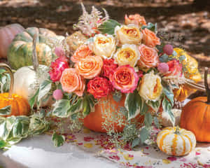 Picturesque Autumn Bounty Wallpaper