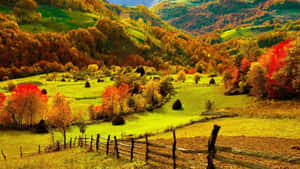 Picturesque Countryside: A Pleasant Place To Relax Wallpaper