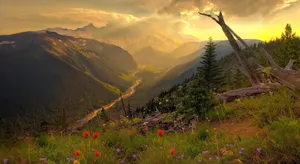 Picturesque Summer Landscape Wallpaper
