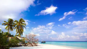 Picturesque View Of Jamaica Island In The Caribbean Wallpaper