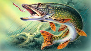 Pike Fish Bait Art Wallpaper