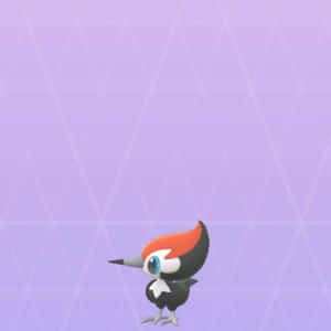 Pikipek Against Purple Background Wallpaper