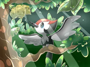 Pikipek On Branch Wallpaper